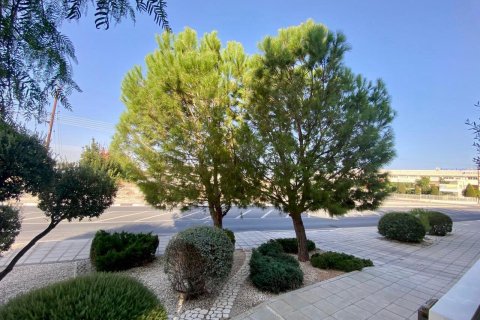 5 bedrooms Villa in Aradippou, Larnaka, No. 56510 24