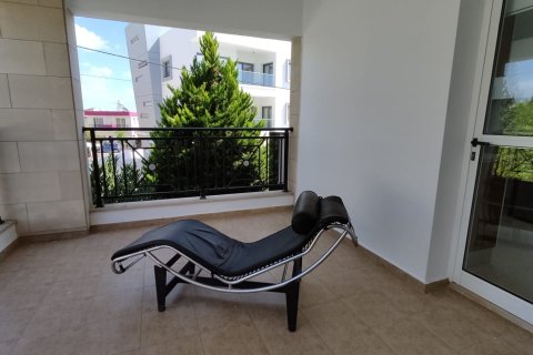 552m2 Propriété commerciale à Paphos,  No. 47769 18