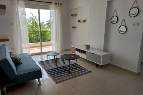 552m2 Propriété commerciale à Paphos,  No. 47769 14