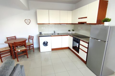 552m2 Propriété commerciale à Paphos,  No. 47769 6