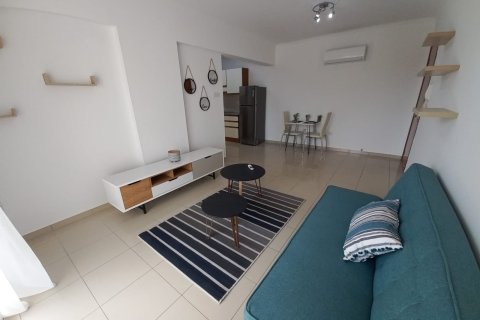 552m2 Propriété commerciale à Paphos,  No. 47769 11
