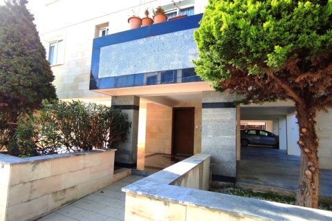 552m2 Propriété commerciale à Paphos,  No. 47769 2