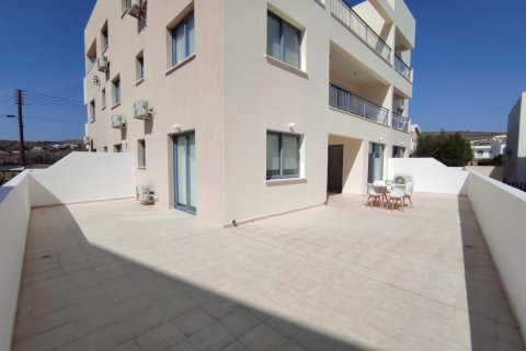 769m2 Commercial property in Geroskípou, Paphos,  No. 47770 18