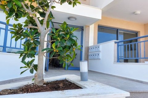 769m2 Commercial property in Geroskípou, Paphos,  No. 47770 2