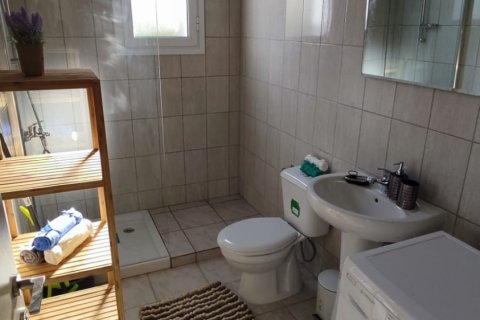 456m2 Commercial property in Geroskípou, Paphos,  No. 47768 9