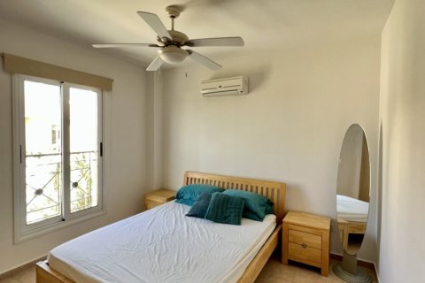 Квартира с 2 спальнями в Кити, Ларнака,  № 50934 15