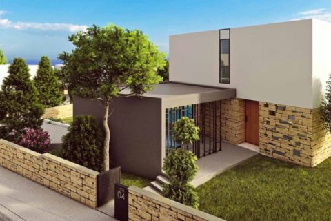 Вилла с 3 спальнями в Пафос, № 38880 2