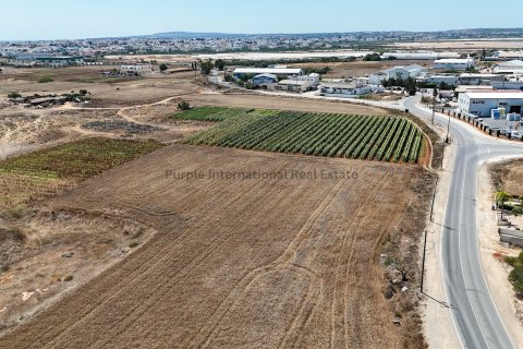 Land in Deryneia, Ammochostos,  No. 56620 2