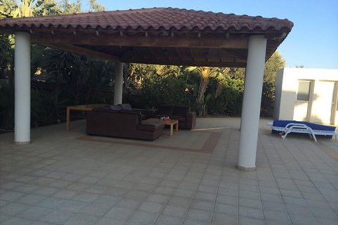 Studio Villa in Limassol,  No. 38318 9