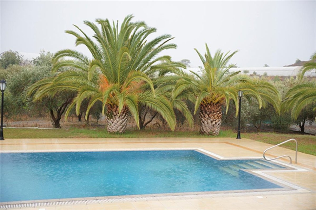 Studio Villa in Limassol, Cyprus No. 38318