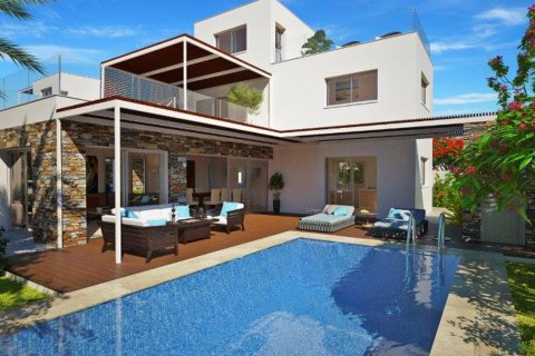 3 chambres Villa à Geroskípou, Paphos, Chypre No. 31753