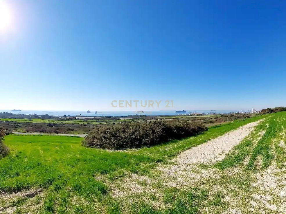 Land in Pyrgos, Limassol, Cyprus No. 53394