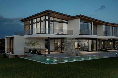 7 bedrooms Villa in Paphos,  No. 39340 26