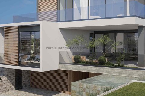 7 bedrooms Villa in Paphos,  No. 39340 13