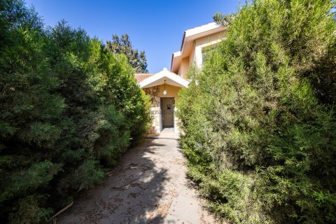 Вилла с 4 спальнями в Паралимни, Аммохостос,  № 36329 28