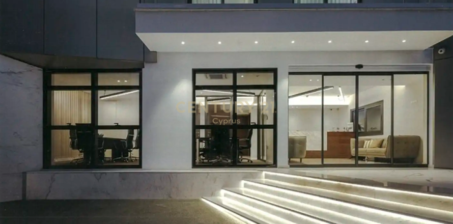 315m2 Commercial property in Limassol, No. 54239