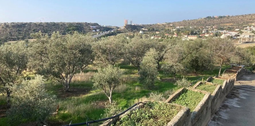 Земельный участок в Агиос Тихонас, Лимасол, № 47714