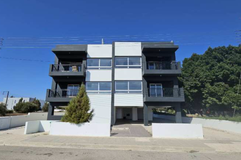 719m2 Commercial property in Meneou, Larnaka,  No. 50148 2