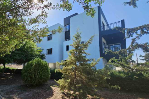 719m2 Commercial property in Meneou, Larnaka,  No. 50148