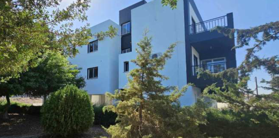 719m2 Commercial property in Meneou, Larnaka,  No. 50148