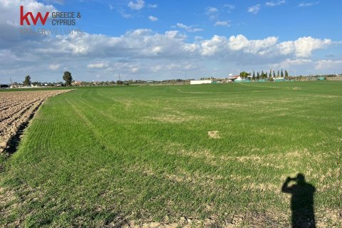 14973m2 Land in Kiti, Larnaka,  No. 40088 8