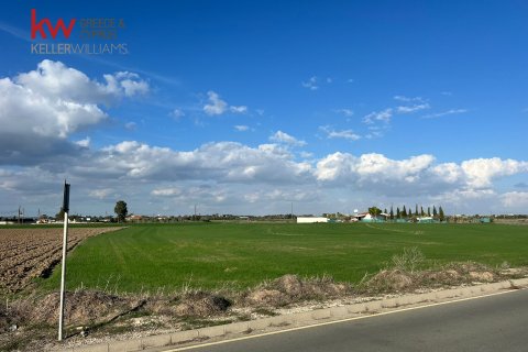 14973m2 Land in Kiti, Larnaka,  No. 40088 11