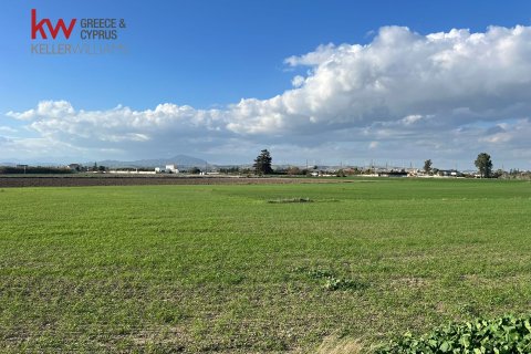 14973m2 Land in Kiti, Larnaka,  No. 40088 5