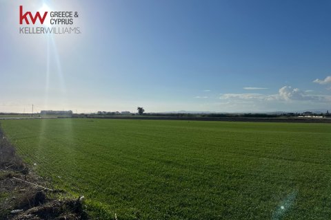 14973m2 Land in Kiti, Larnaka,  No. 40088 2