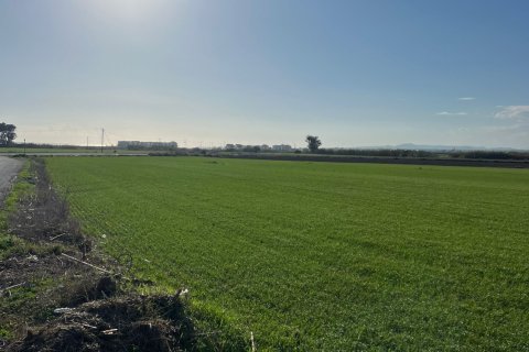 14973m2 Land in Kiti, Larnaka,  No. 40088