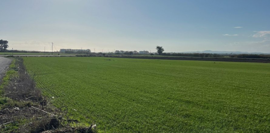 14973m2 Land in Kiti, Larnaka,  No. 40088