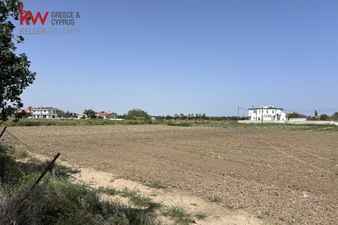 14371m2 Land in Pervolia, Larnaka,  No. 40089 5