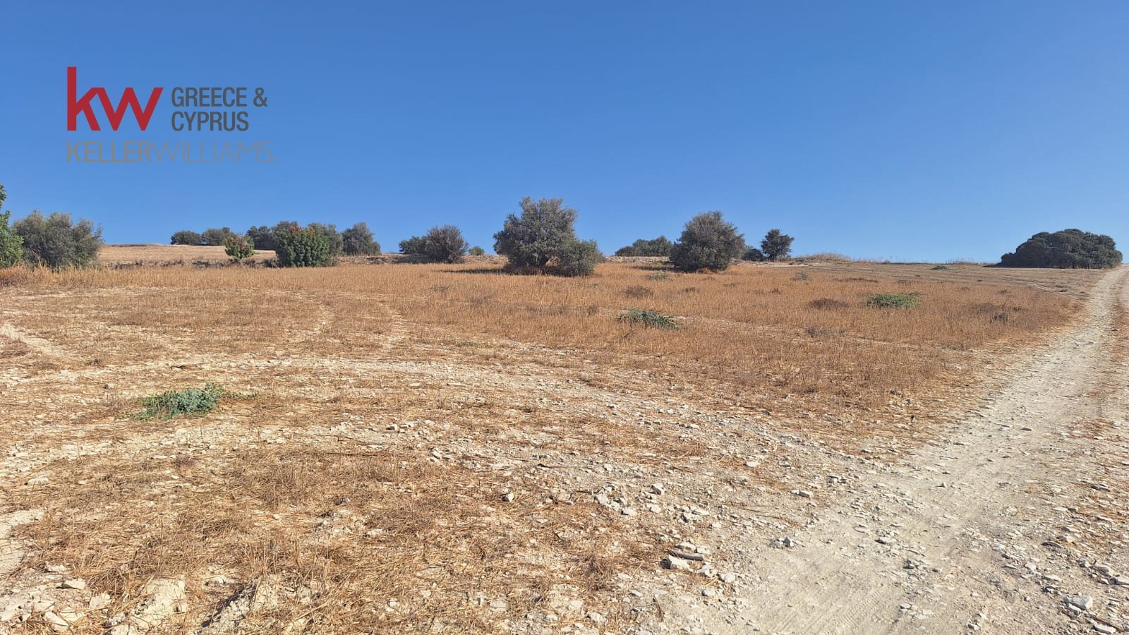 4683m2 Land in Alaminos, Larnaka, Cyprus No. 40166