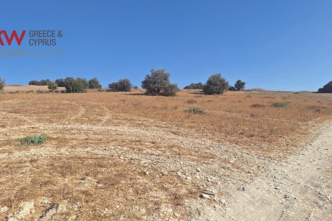 4683m2 Land in Alaminos, Larnaka,  No. 40166 5