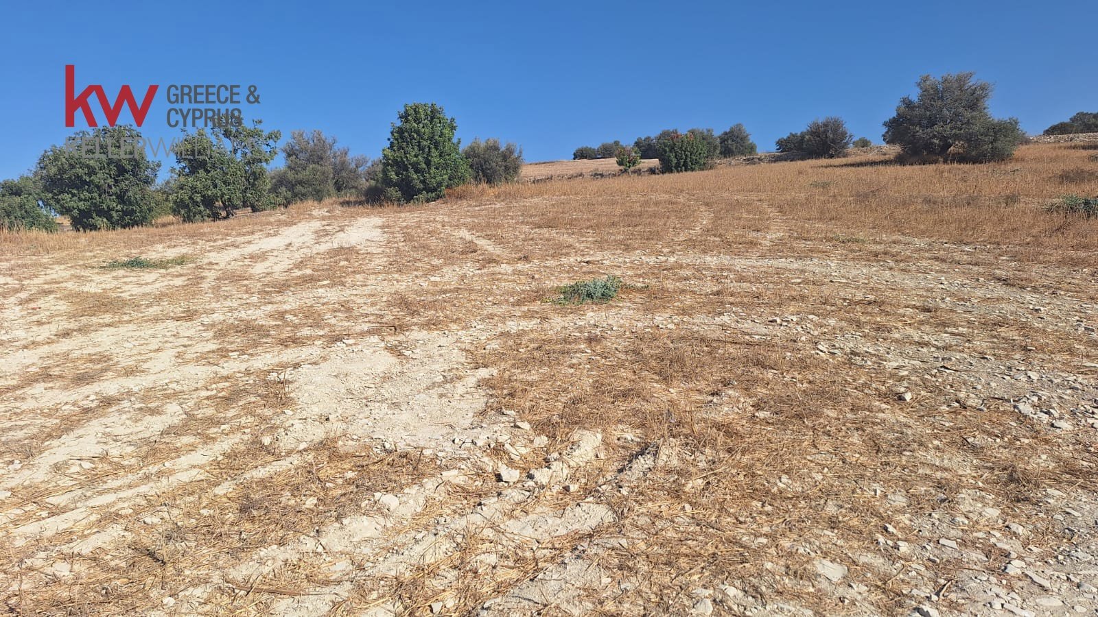 4683m2 Land in Alaminos, Larnaka, Cyprus No. 40166