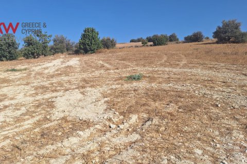 4683m2 Land in Alaminos, Larnaka,  No. 40166 3