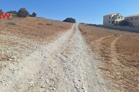 4683m2 Land in Alaminos, Larnaka,  No. 40166 4