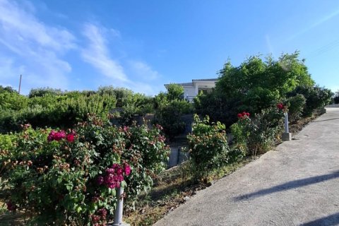 2 bedrooms Townhouse in Ora, Larnaka,  No. 40168 2