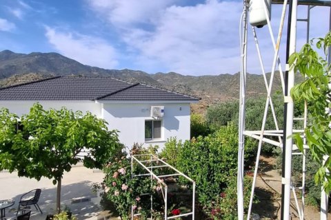 2 bedrooms Townhouse in Ora, Larnaka,  No. 40168 10