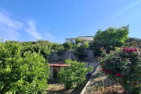 2 bedrooms Townhouse in Ora, Larnaka,  No. 40168 3