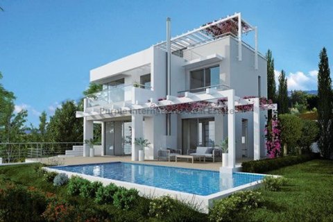 5 chambres Villa à Paphos, No. 52405 12