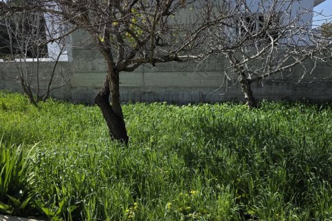 4 chambres Maison de Ville à Pervolia, Larnaka,  No. 49916 20