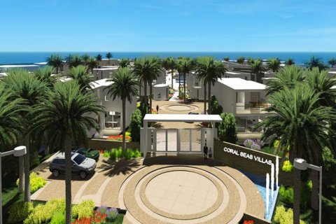 3 habitaciones Villa en Paphos,  No. 38035 2