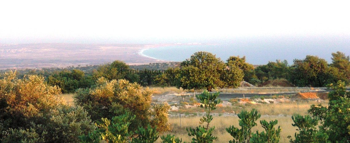 3 bedrooms Villa in Souni–Zanatzia, Limassol, Cyprus No. 8265