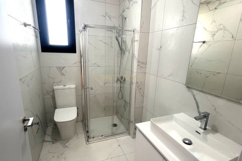Пентхаус с 2 спальнями в Меса Гитонья, Лимасол,  № 55236 9