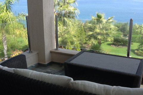 Вилла студия в Пафос, № 38304 12