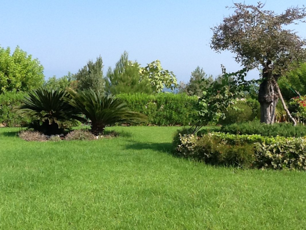Studio Villa à Paphos, Chypre No. 38304