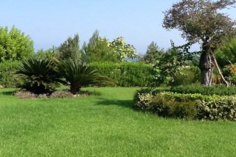 Вилла студия в Пафос, № 38304 8