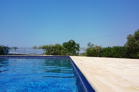 Studio Villa à Paphos,  No. 38303 15