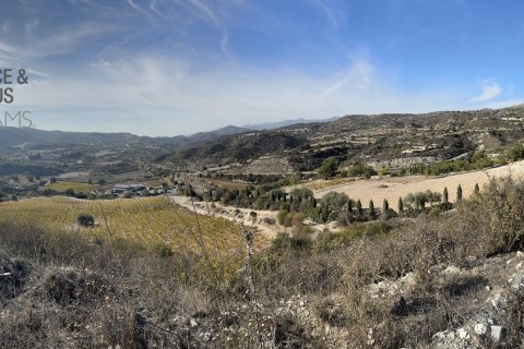 5017m2 Land in Kato Drys, Larnaka,  No. 56738 3