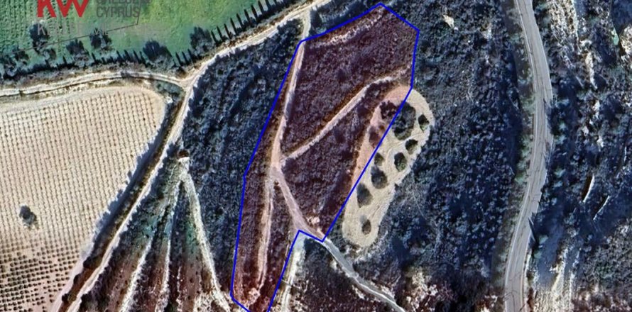 5017m2 Land in Kato Drys, Larnaka,  No. 56738